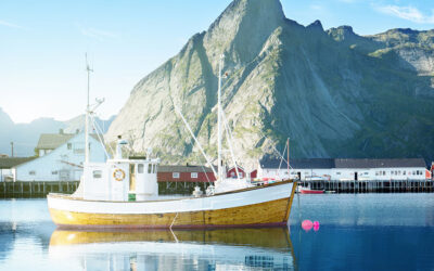 Omega-3 Total Produkty